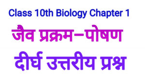 bharati bhawan class 10 biology solutions in hindi chapter 1 – जैव प्रक्रम : पोषण – Life processes: Nutrition 