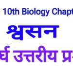 Bharati Bhawan Class 10 Biology Chapter 2 Long Type Questions