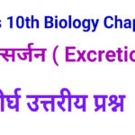 Bharati Bhawan Class 10 Biology Chapter 4 Long Type Questions Answer
