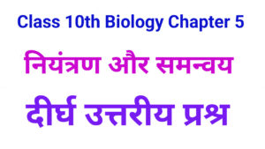 Bharati Bhawan Class 10 Biology Chapter 5 Long Type Q&A